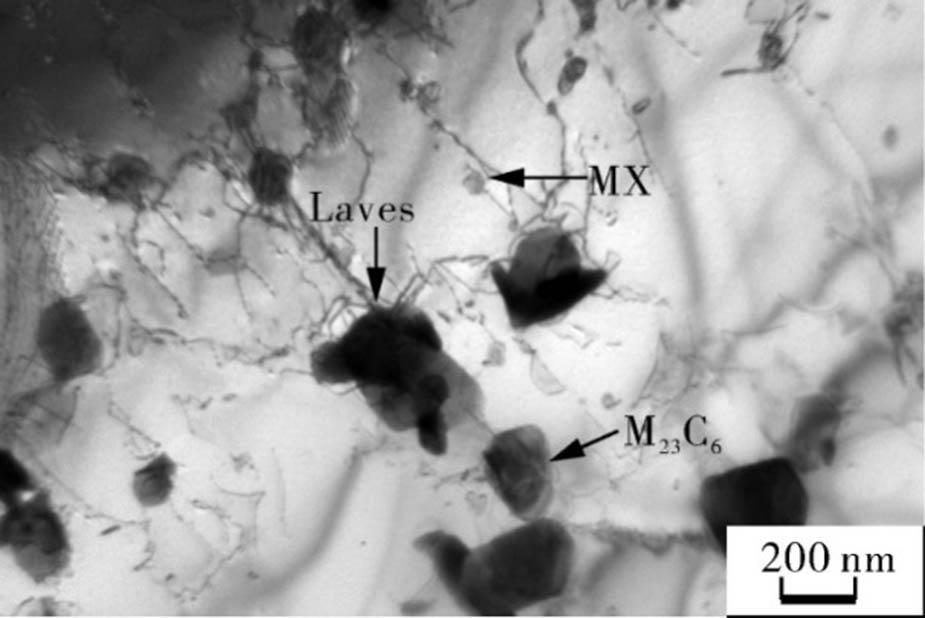 Laves phase in martensitic steel.