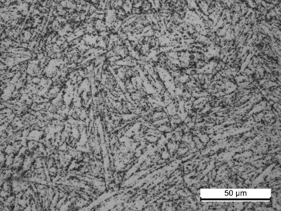 Microstructure of P91 sample as observed by a light microscope.