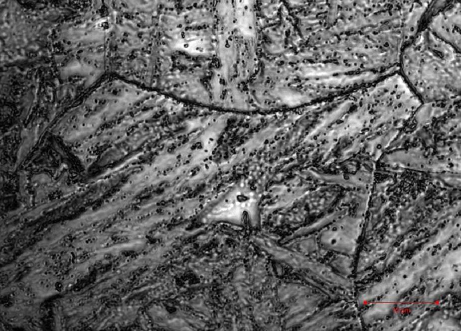 Microstructure of P91 sample under a laser confocal microscope.