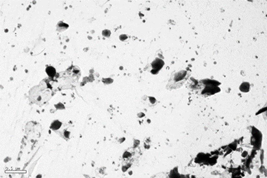 Abnormal growth of the precipitated phase in martensitic steel.
