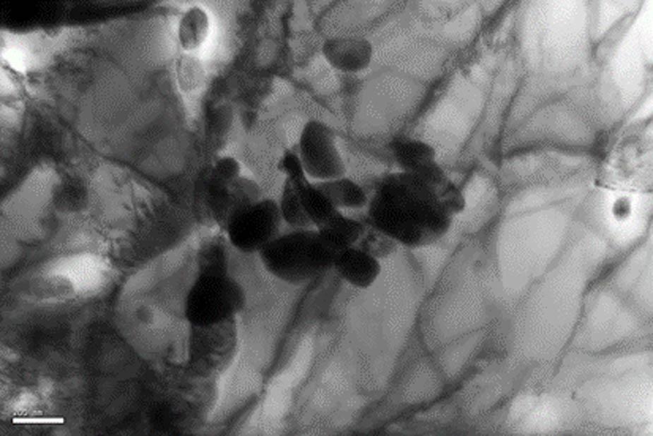 Disappearance of lath in martensitic steel.