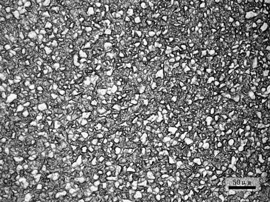 Metallographic structure of a P92 pipe.