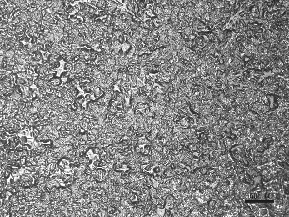 Metallographic structure of a P91 main steam pipe.