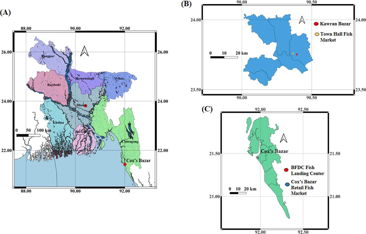 Map showing the study areas: (a) the whole of Bangladesh, (b) the district of Dhaka and (c) the district of Cox's Bazar in Bangladesh