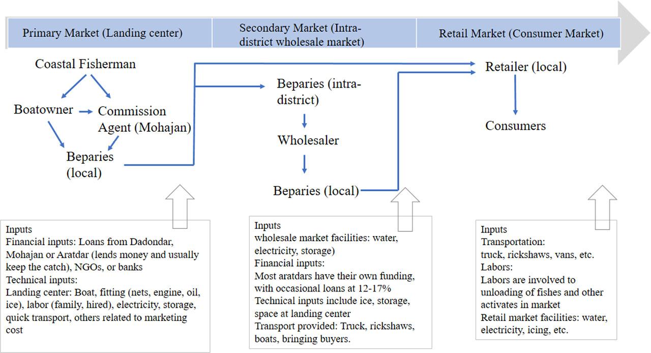 Marketing channels for marine fish species in the primary, secondary and consumer marketsSource: updated from Porras et al., 2017.