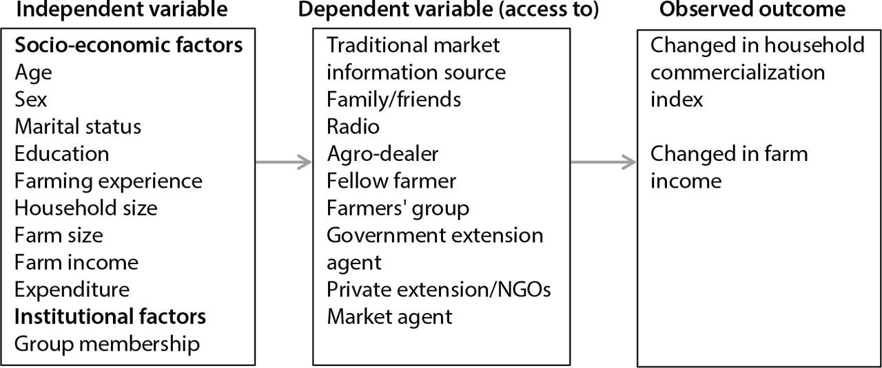 Conceptual framework showing the impact of traditional market information sources on HCI and farm incomeSource: own elaboration.