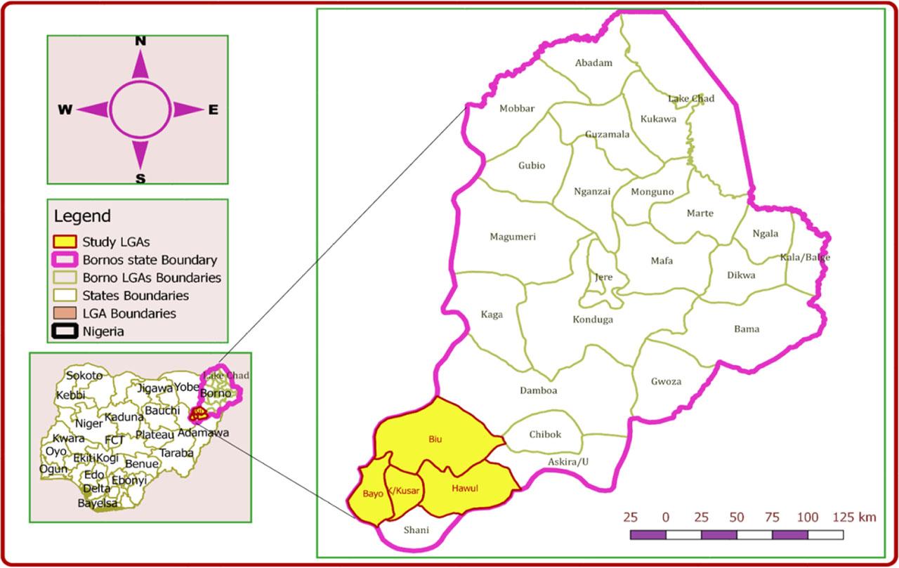 Map of Borno State showing the study areaSource: authors, 2024.