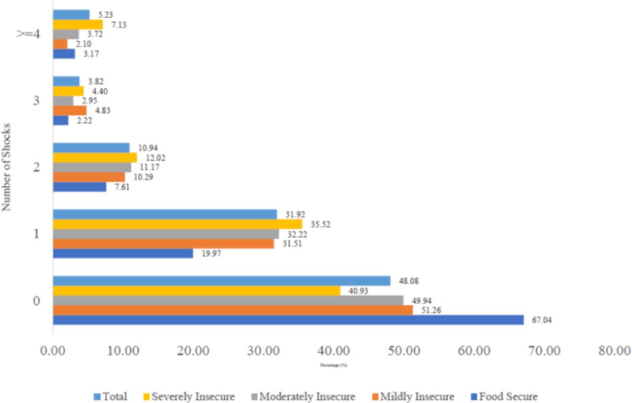 Distribution of respondents across the number of shocks and food insecurity statusSource: authors’ computations from DIEM (waves 2 and 3) data.