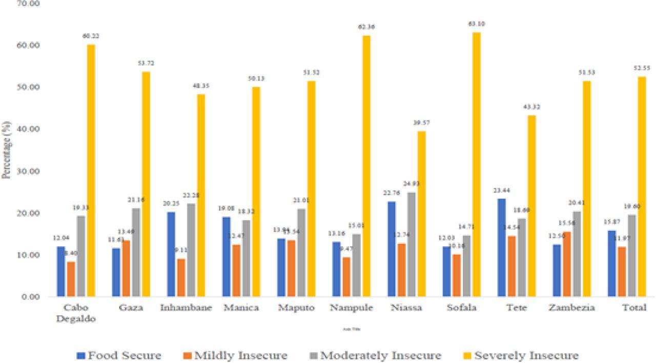 Food insecurity status across the Mozambican provincesSource: authors’ computations from DIEM (waves 2 and 3) data.