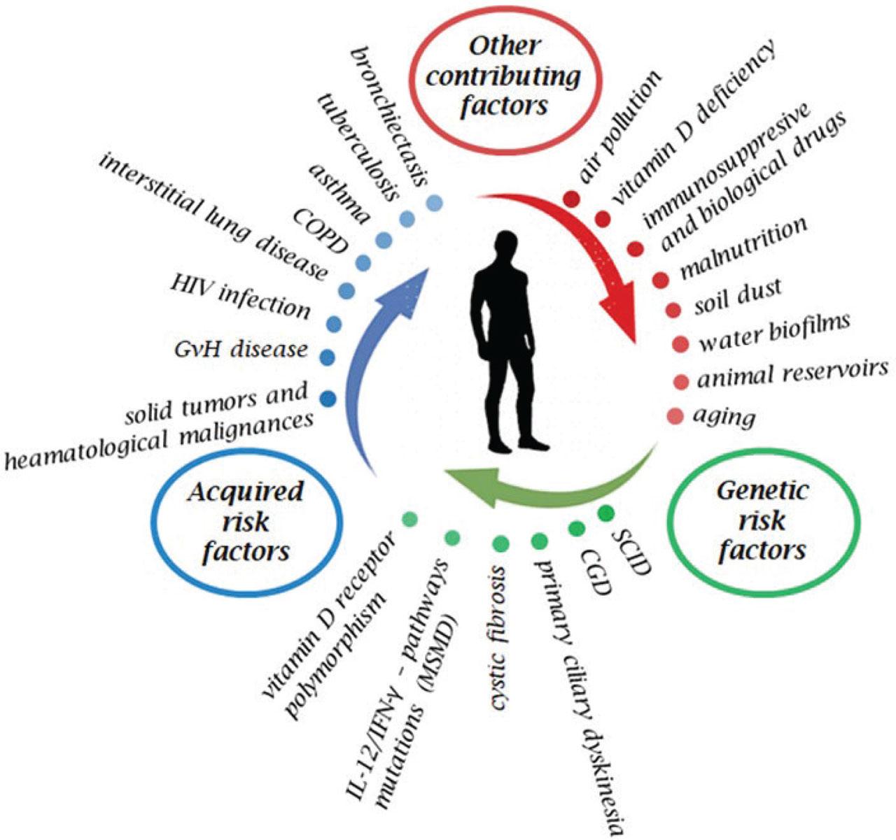 Risk factors contributing to NTM infections. The risk factors for NTM infection can be broadly categorized into environmental exposures, underlying health conditions, lifestyle factors, and certain procedural or occupational hazards. CGD, chronic granulomatous disease; COPD, chronic obstructive pulmonary disease; GvH, graft versus host; IFN, interferon; IL, interleukin; NTM, non-tuberculous mycobacteria; SCID, severe combined immunodeficiency.