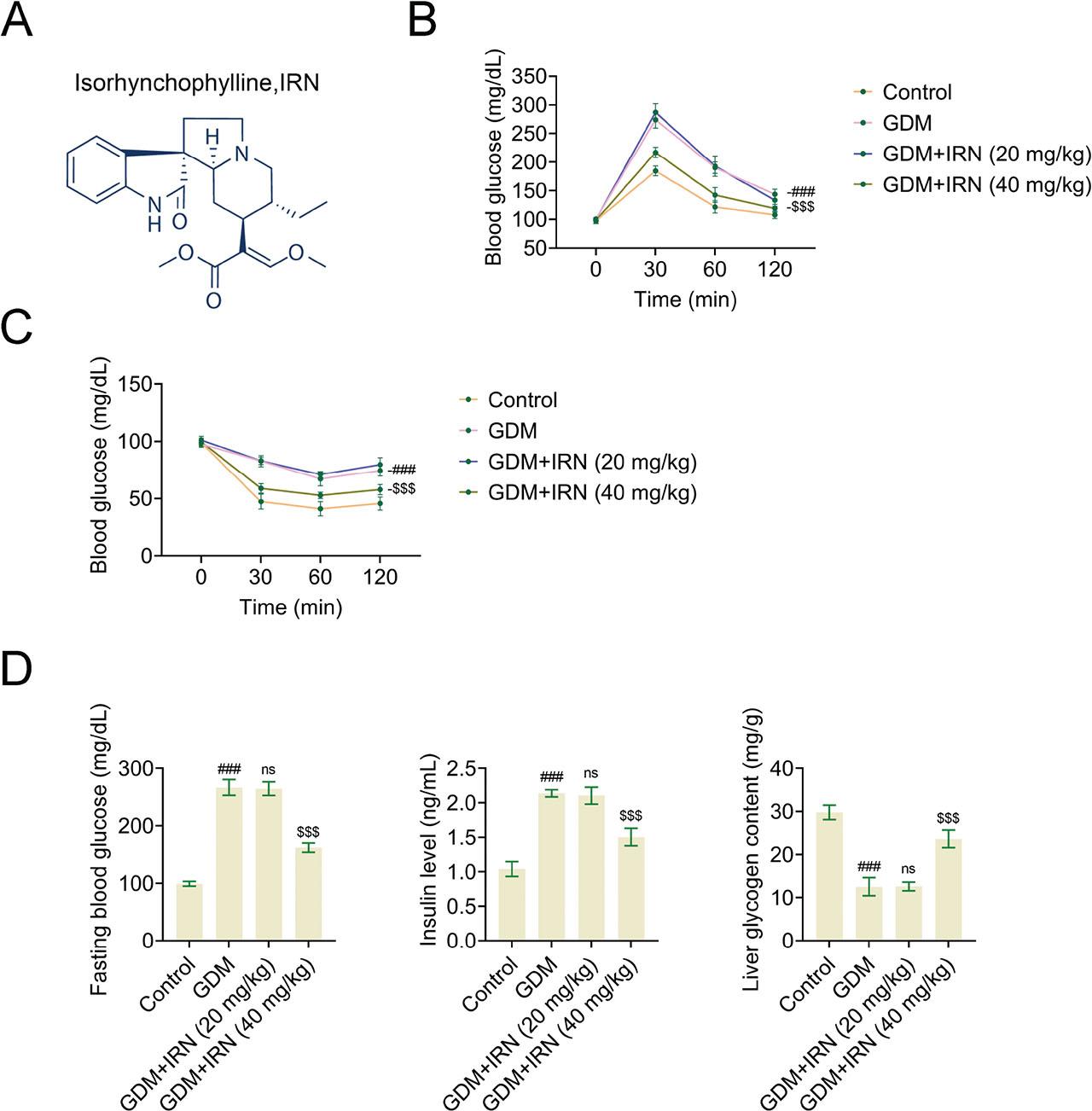 Effect of IRN on blood glucose levels and insulin sensitivity in GDM mice. (A) Structural formula of IRN. (B) The IPGTT was performed on gestational day 10, with blood samples collected at 0, 30, 60, and 120 min post glucose injection. (C) The IPITT was conducted on the same day, with blood samples collected at 0, 15, 30, 60, and 120 min post insulin injection. (D) Bar graphs showing fasting blood glucose levels, serum insulin levels, and liver glycogen content in control, GDM, and IRN-treated GDM mice (20 mg/kg and 40 mg/kg). Data are presented as mean ± SD. *p < 0.001, GDM vs. control, **p < 0.001, GDM + IRN vs. GDM. GDM, gestational diabetes mellitus; IPGTT, intraperitoneal glucose tolerance test; IPITT, intraperitoneal insulin tolerance test; IRN, isorhynchophylline; ns, no significant.