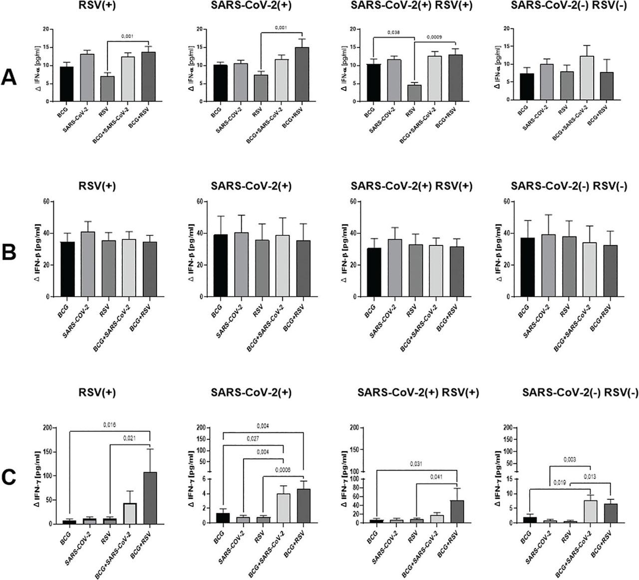Levels of IFN-α (A), IFN-β (B), and IFN-γ (C) in cell culture supernatants across study groups. The values depicted in the graphs represent the differences in cytokine levels between the stimulated and unstimulated cultures. The value on the y-axis is the delta value relative to the unstimulated control sample. Differences in the levels of IFN-α, IFN-β, and IFN-γ concentrations between the studied groups were compared using the non-parametric Kruskal–Wallis two-way ANOVA with Dunn’s post-test. A p-value was considered significant if <0.05. BCG, bacillus Calmette–Guérin; IFN, interferon; RSV(−) SARS-CoV-2(−), group seronegative for RSV and SARS-CoV-2; RSV(+) SARS-CoV-2(+), group seropositive for RSV and SARS-CoV-2; RSV(+), group seropositive for RSV infection; RSV, respiratory syncytial virus; SARS-CoV-2(+), group seropositive for SARS-CoV-2; SARS-CoV-2, severe acute respiratory syndrome coronavirus 2.