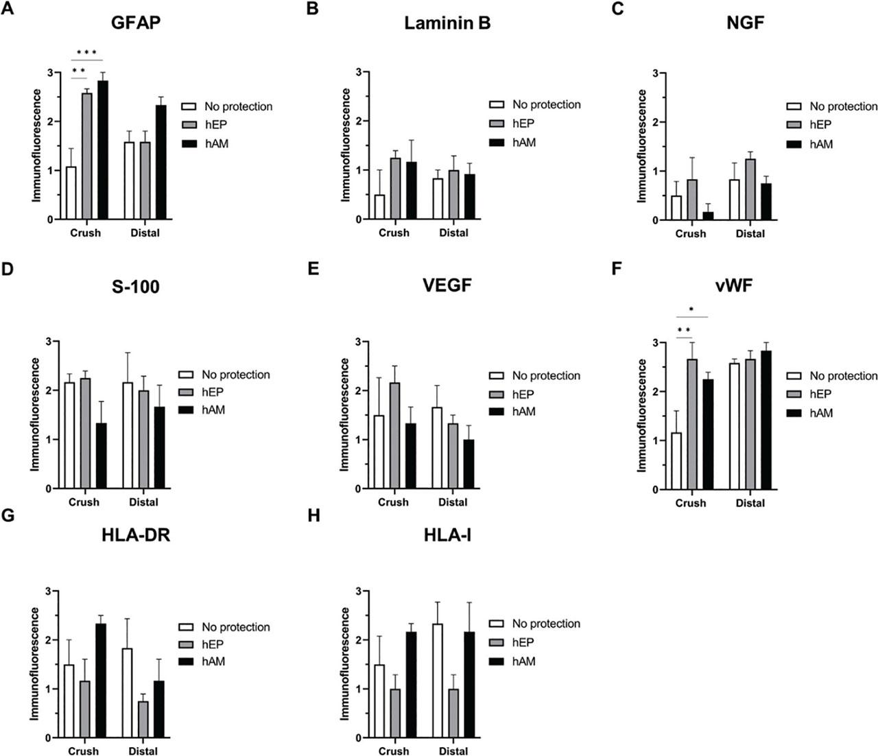 Expression evaluation of selected neurogenic, angiogenic, and immunogenic markers assessed at the crush injury sites and distal ends by immunofluorescence staining at 6 weeks following sciatic nerve crush injury, transection, and repair. (a) GFAP, (b) Laminin B, (c) NGF, (d) S-100, (e) VEGF, (f) vWF, (g) HLA-DR, and (h) HLA-I. Data were presented as mean ± SEM. A two-way ANOVA test for group comparison was used to define statistical significance at *p < 0.05, **p < 0.01, ***p < 0.001, and ****p < 0.0001. GFAP, glial fibrillary acidic protein; HLA-DR, human leukocyte antigen-DR; HLA-I, human leukocyte antigen class I; NGF, nerve growth factor; SEM, standard error of the mean; VEGF, vascular endothelial growth factor; vWF, von Willebrand factor.