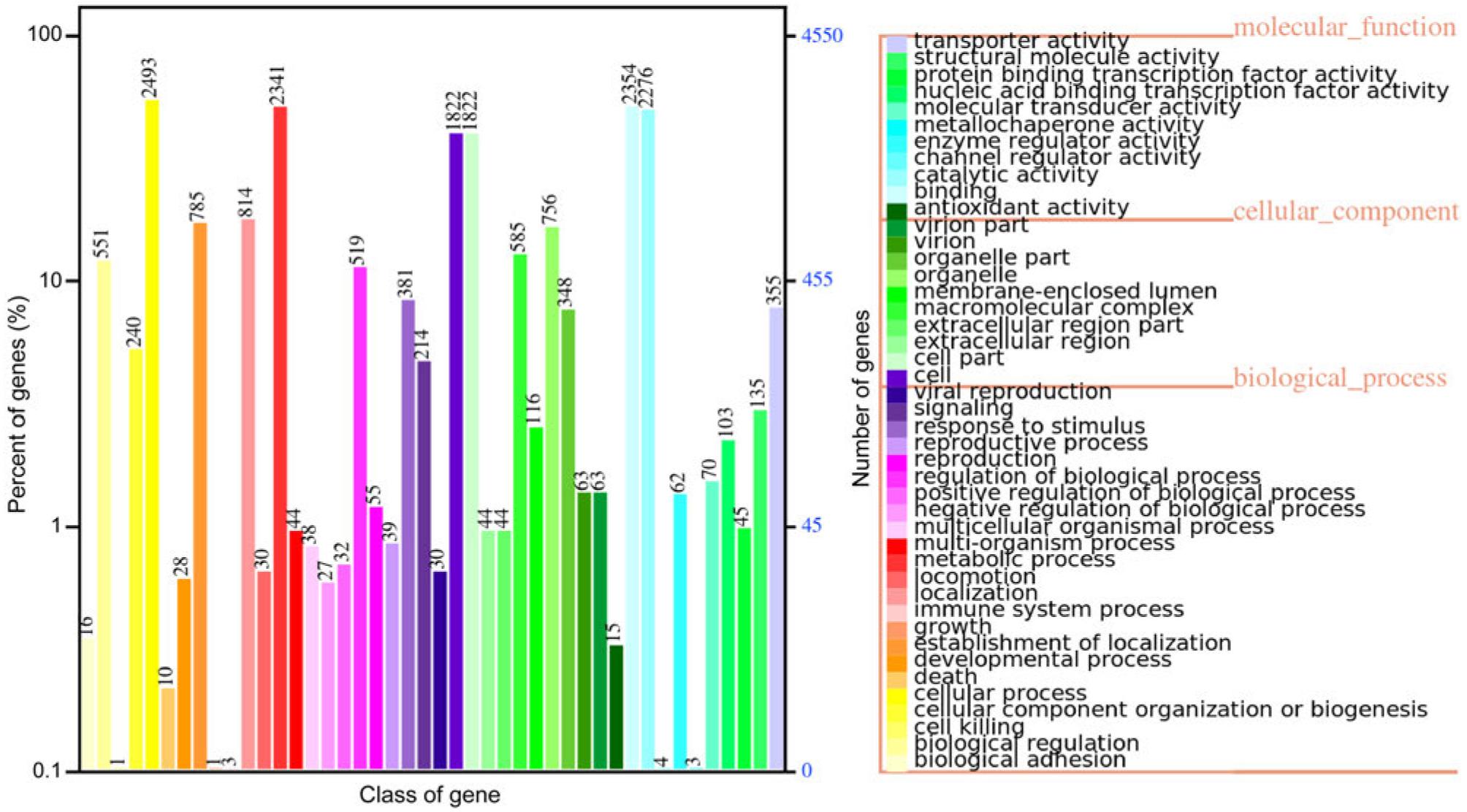 The legend on the right side of the figure lists the functional classifications of the Gene Ontology (GO) annotations for the corresponding samples under the three categories of GO ontology classifications. The left side of the figure depicts the distribution of a number of GO functional analyses on the annotations. The horizontal axis represents the number of genes, displayed in different colors corresponding to the different types mentioned in the legend on the right. The vertical axis presents the GO functional classification.