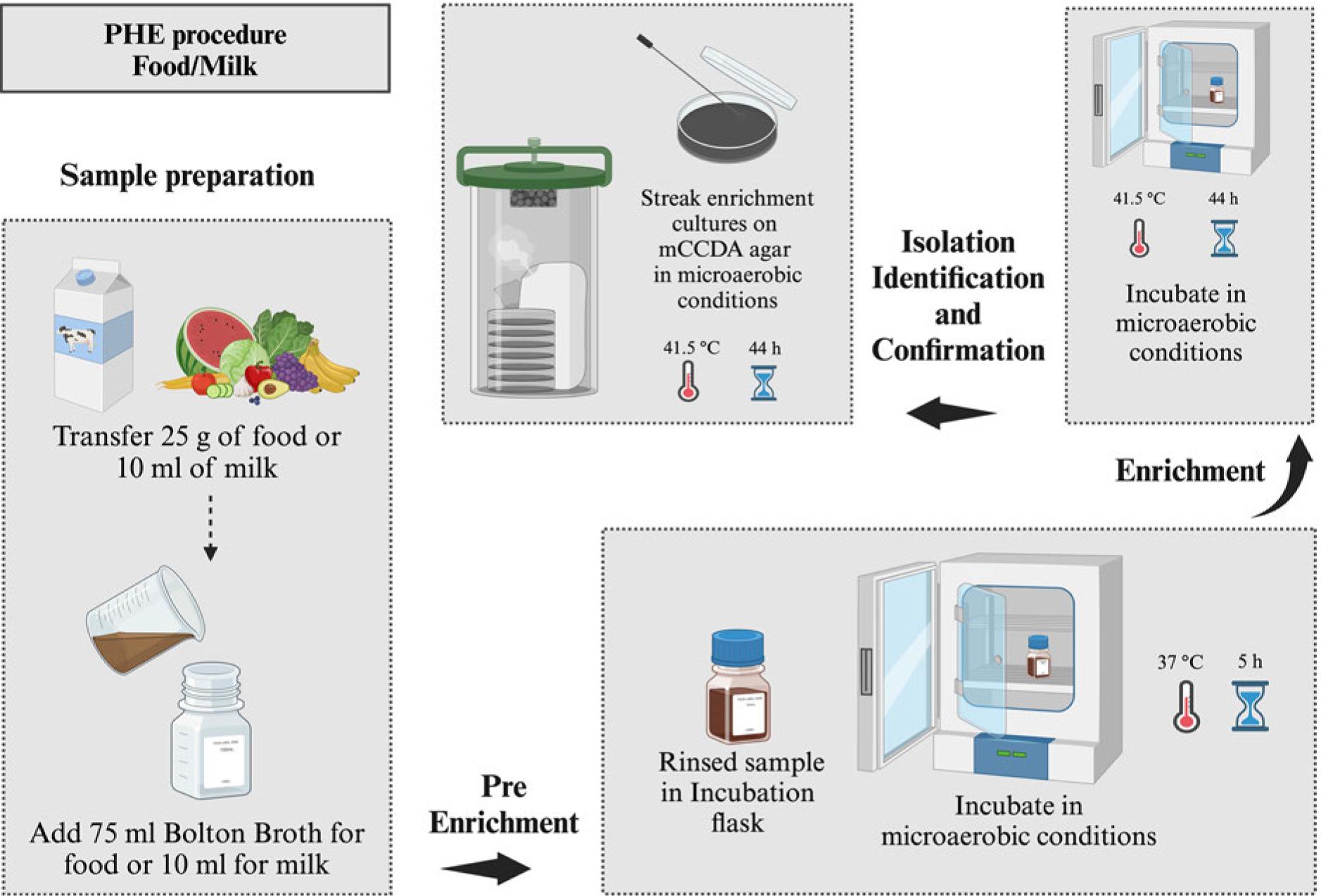 Public Health England procedure for the isolation of Campylobacter spp. from all types of food and milk, microaerobic conditions (N2: 85%, CO2: 10%, and O2: 5%).