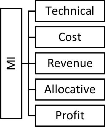Measuring Various Efficiency With the MI