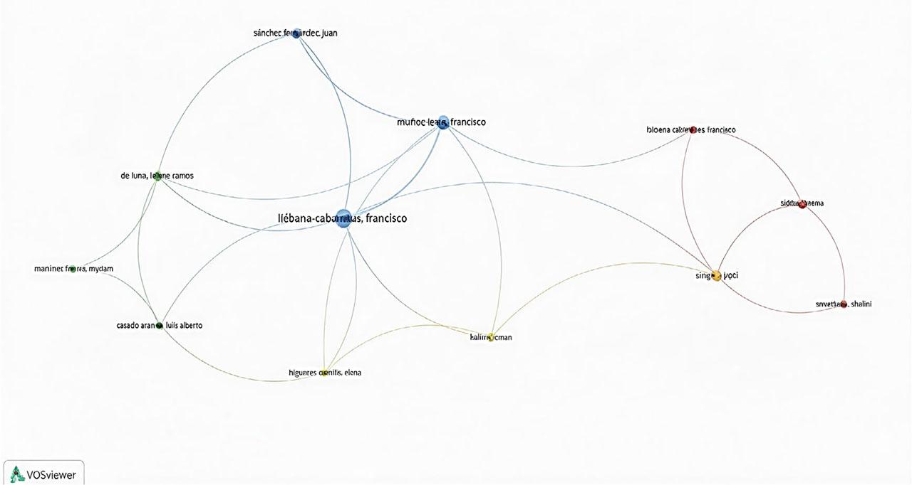 Author collaboration network (Source: Created by the author using VOSviewer)