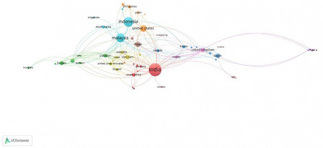 Country collaboration network (Source: Created by the author using VOSviewer)