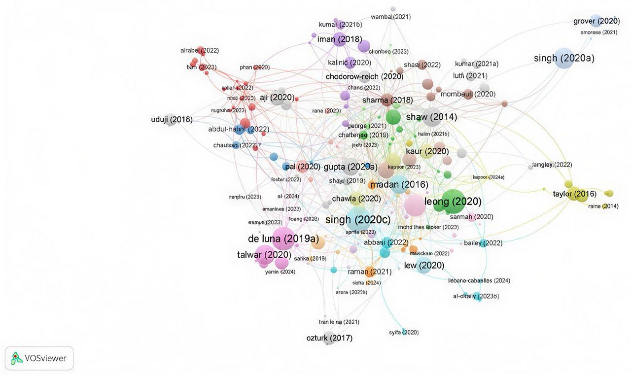 Article co-citation network (Source: Created by the author using VOSviewer)