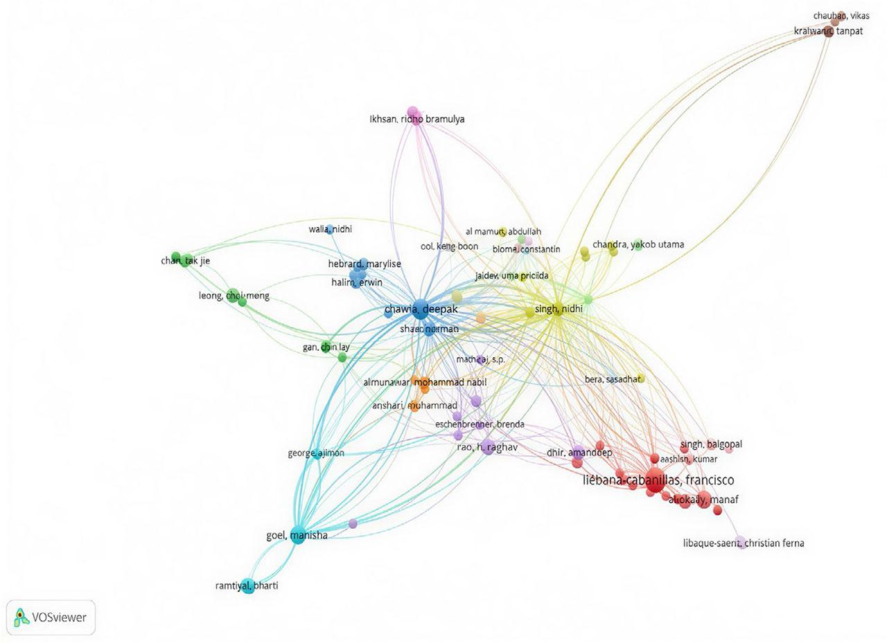 Co-authorship network of researchers (Source: Created by the author using VOSviewer)
