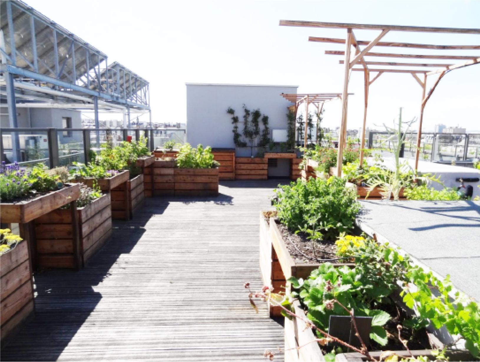 Therapeutic garden on the roof. Nursing Home EPHAD Robert Doisneau, Paris, France: Path between the raised beds, source: Author
