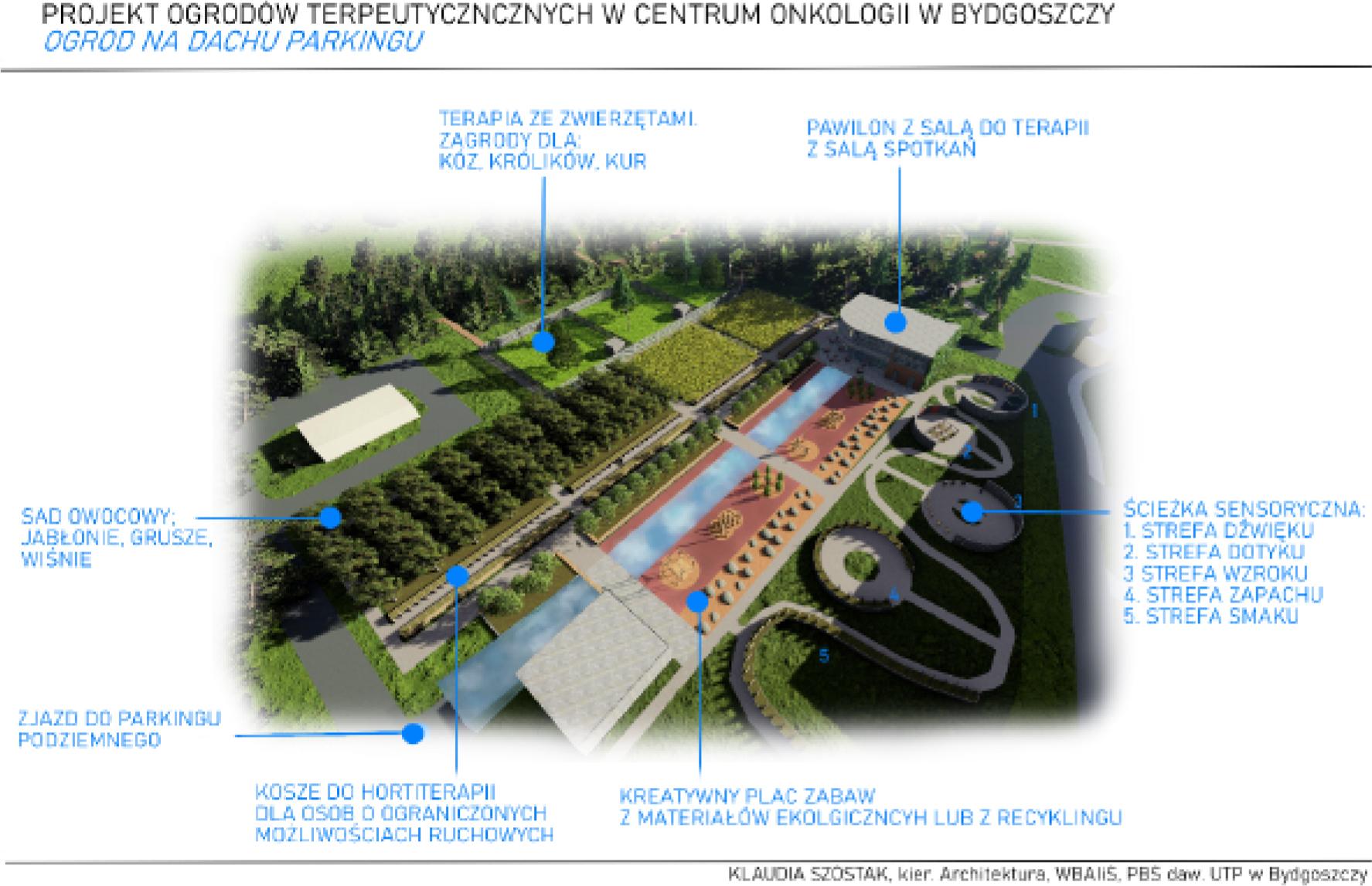Proposal for therapeutic garden on the roof of an underground parking garage (author: Klaudia Szustak) View of the garden on the roof