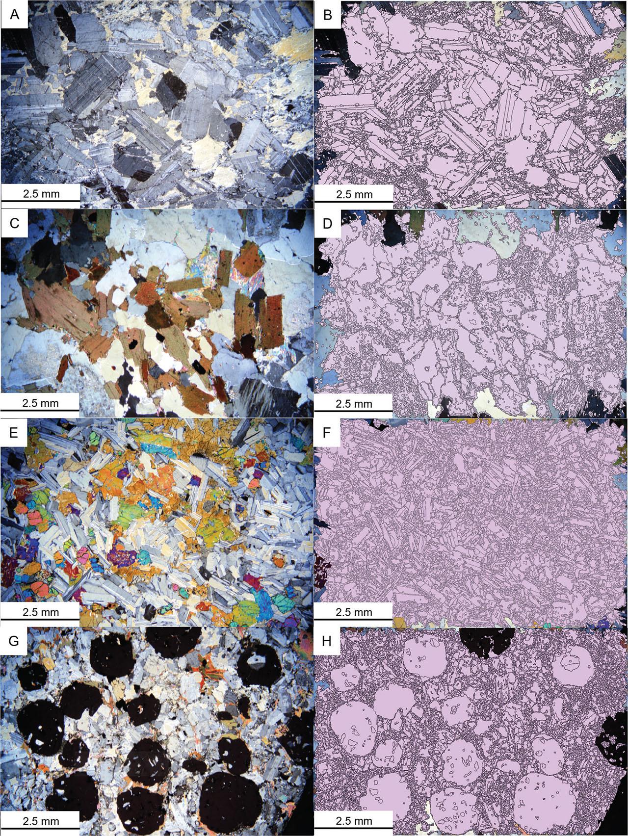 Average interference colour images and MFA polygons for sample DRT 34 (A, B), sample A14 (C, D), sample D15 (E, F) and sample C20 (G, H). MFA, micro fabric analyser.