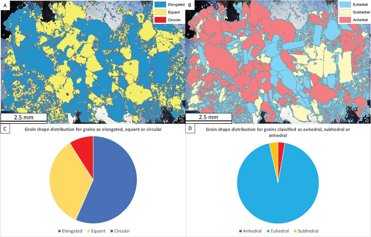 Grain shape classification for sample A14. (A) Grains classified as either elongated, equant or circular. (B) Grains classified as either euhedral, subhedral or anhedral. (C) The distribution of grains classified as elongated, equant or circular. (D) The distribution of grains classified as euhedral, subhedral or anhedral.