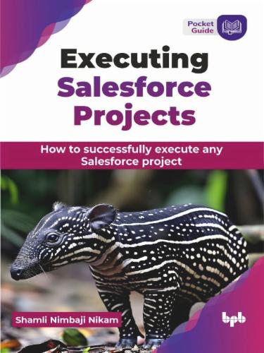 Executing Salesforce Projects