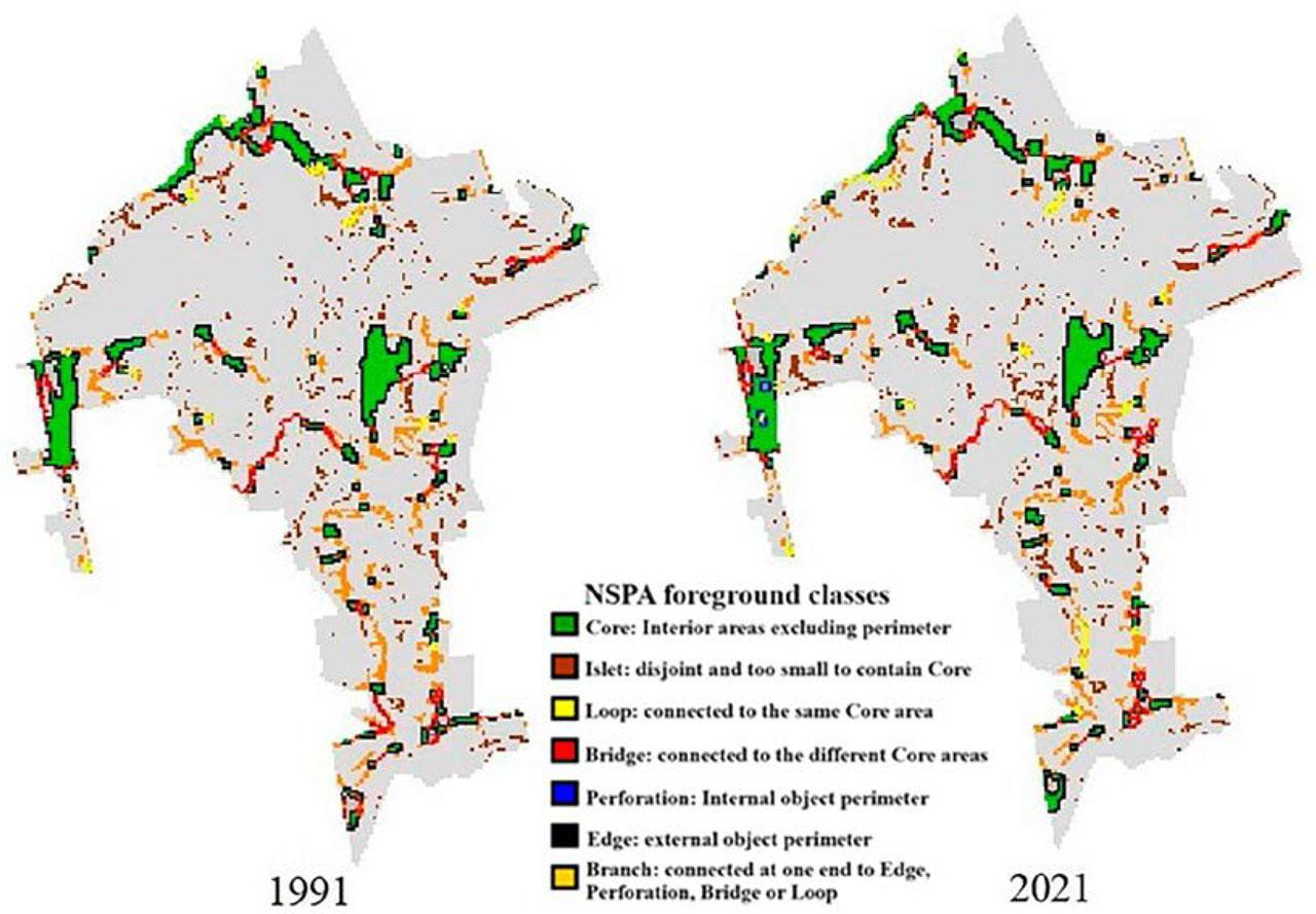 Dynamics of urban forest connectivity on the territory of Kaharlyk.