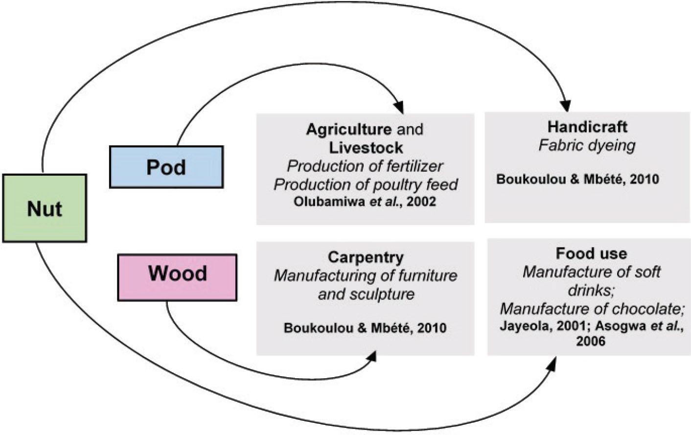 Other uses of C. nitida.