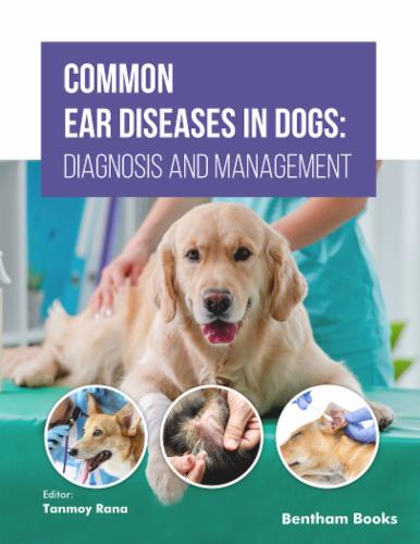Common Ear Diseases in Dogs: Diagnosis and Management