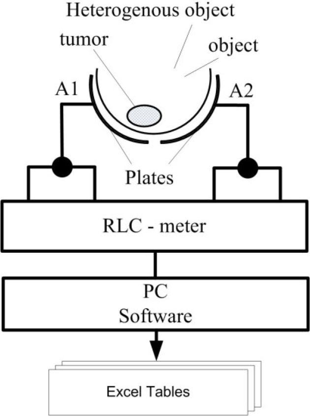 Experimental setup scheme.