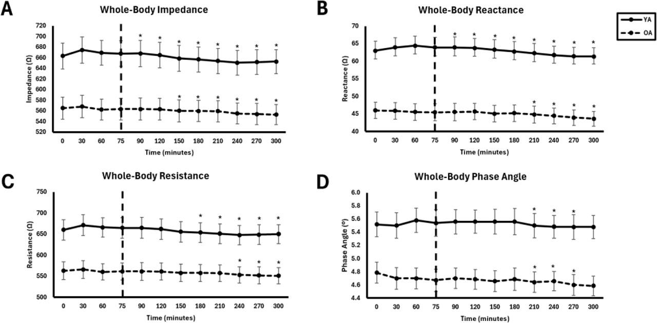 Whole-body bioimpedance at 50 kHz between young adults (YA) and older adults (OA) across time. The EAA challenge was consumed at the 75th minute. *Significantly different from pre-EAA consumption timepoints (0, 30, 60, or 75 minutes; p<0.05).