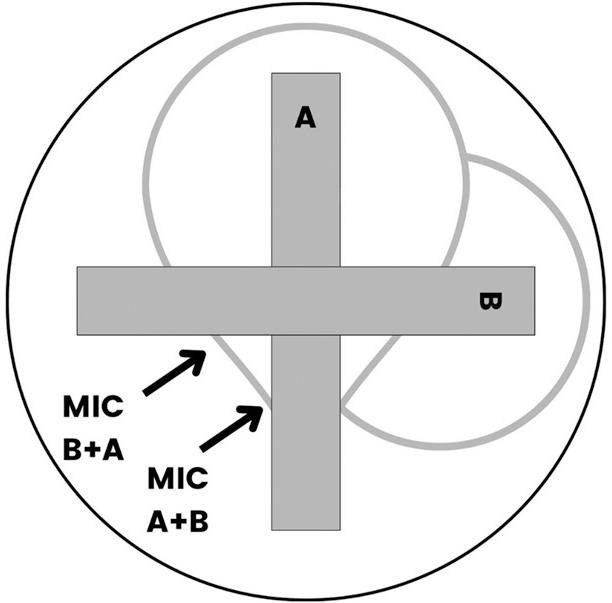 Assessment of the synergistic effect of antibiotics by cross-method.