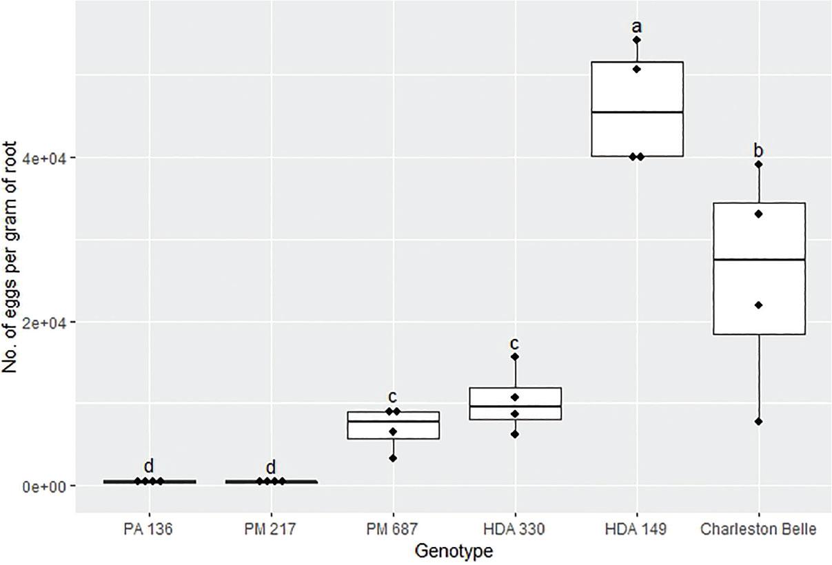 Reproduction of Meloidogyne floridensis on pepper genotypes in the growth chamber experiment conducted at Clemson University. Data represent the distribution of four replications. Tukey style box and whisker plots are presented with individual dot points representing scores from individual plants. Treatments sharing a common letter are not significantly different according to Student's t-test (P ≤ 0.05). The middle crossbar represents the median, the outer crossbars represent the 25th and 75th quartiles and the whiskers represent 3/2 times the interquartile range of the data.