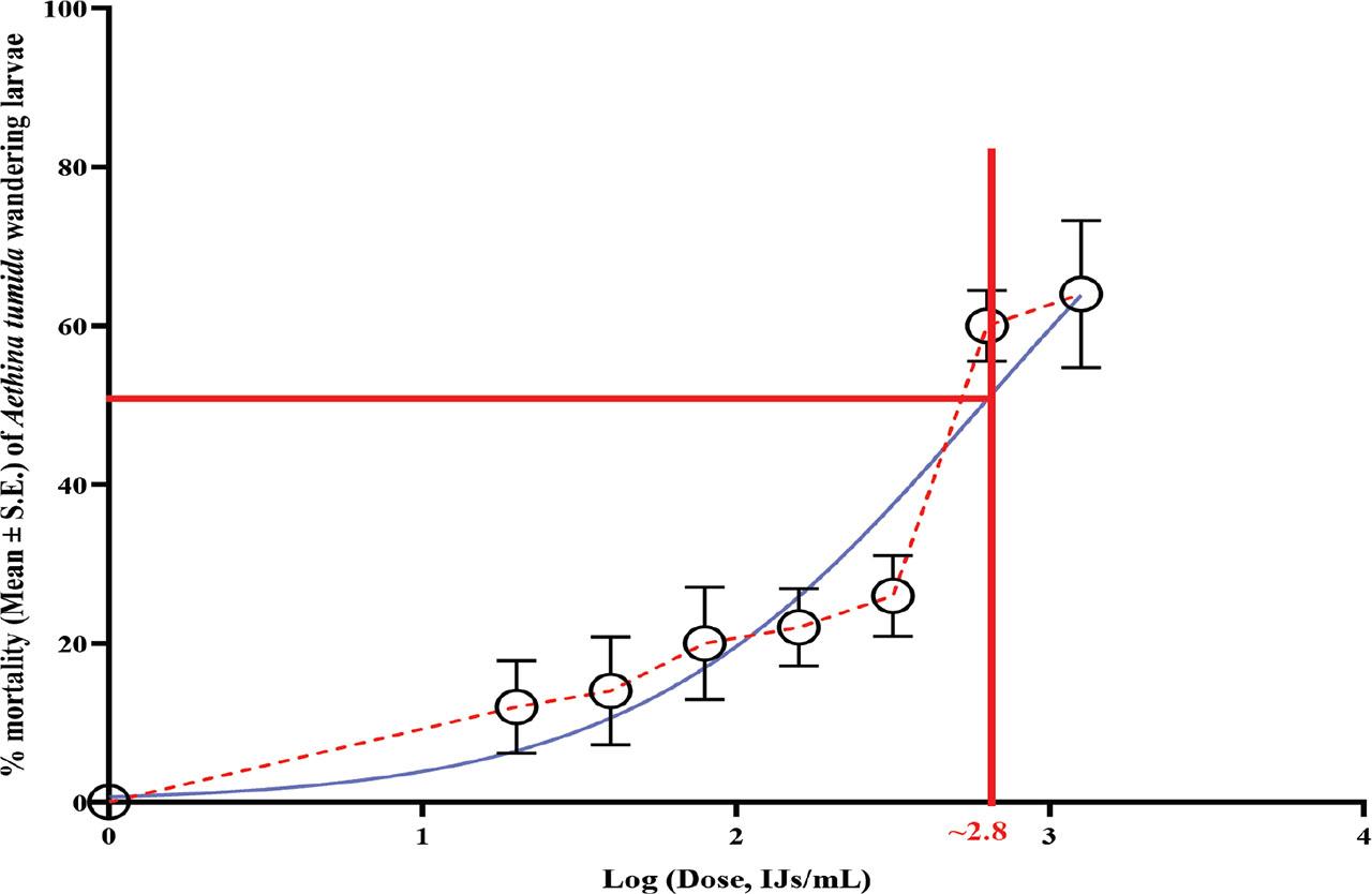 Dose-response curve showing the mortality of Aethina tumida wandering larvae given increasing doses of Heterorhabditis floridensis (K22). The dashed red curve represents actual observations. Solid red lines show the intersection of the log dose and 50% mortality to find the LD50, represented by the black star. The model fit was evaluated with R2 = 0.70.
