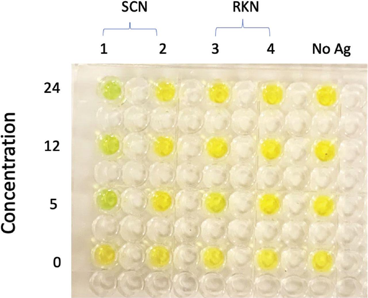 Indirect ELISA showing the interaction of antigen HG type 0-based monoclonal antibody (mAb) against the four nematode antigen types generated from soybean cyst nematode (SCN) and root-knot nematode (RKN): SCN 1 (HG type 0), SCN 2 (HG type 4.5.7), RKN race 3 and RKN race 4. The concentration of the mAb is in proportion to the template DNA used during the protein synthesis and is therefore in ng/μL.