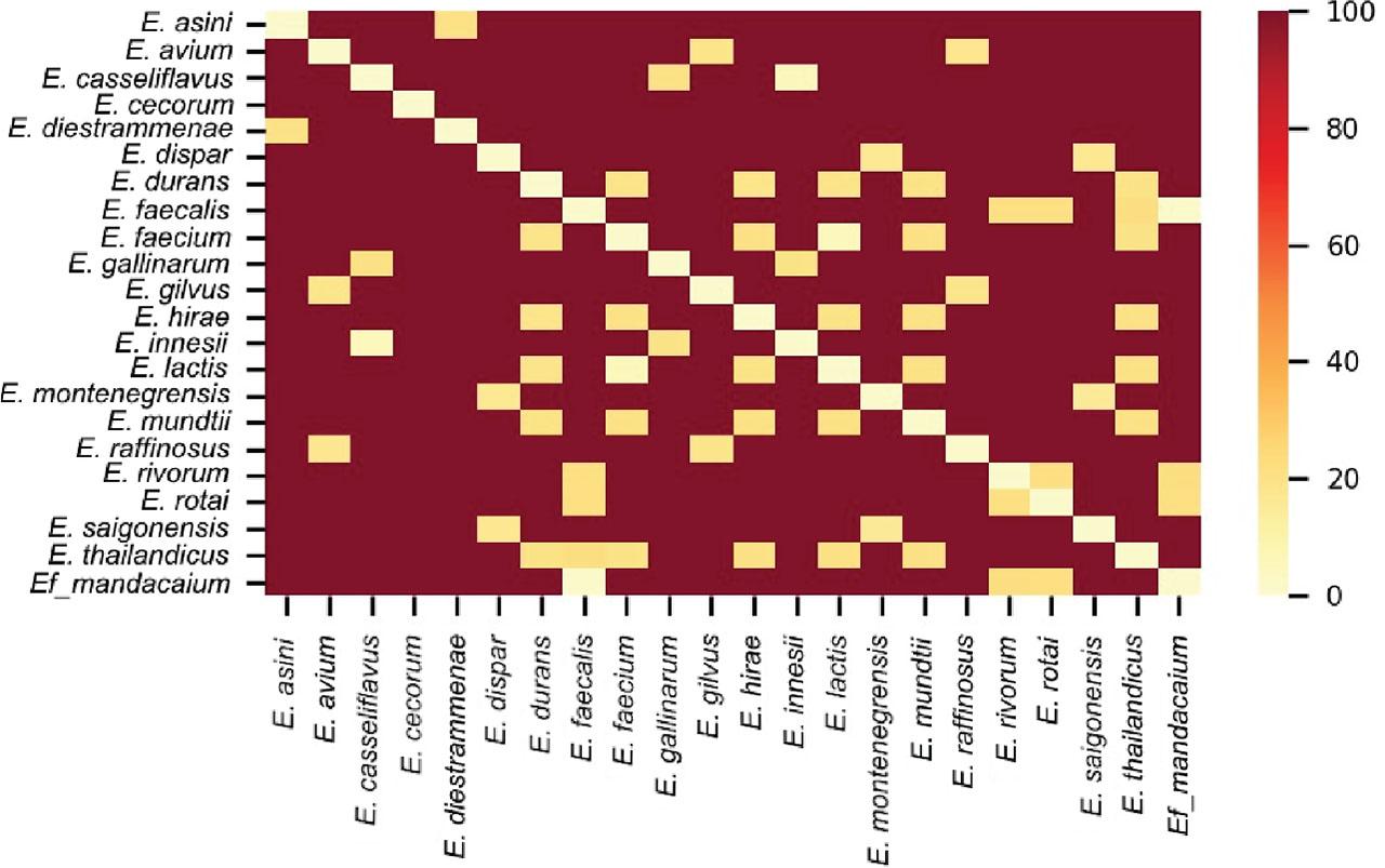 Heat map of the Average Nucleotide Identity (ANI) analysis performed with Enterococcus faecalis strain mandacaium and Enterococcus spp. genomes deposited in the NCBI database. The genomic distance was calculated on the scale of 100 ANI. A distance of 0 (lightest color) corresponds to 100% ANI, indicating maximum similarity between genomes, while a distance of 100 (darkest color) corresponds to 0% ANI, indicating no similarity. Intermediate colors reflect proportional distances based on ANI values.