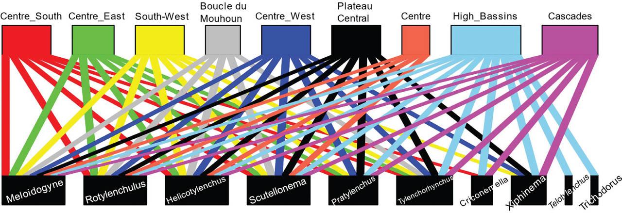 Bipartite diagram illustrating the distribution of nematode genera (down) by region (up) in Burkina Faso. A connecting line indicates the presence of a specific genus in a region. Boxes are sized according to the number of connections established.
