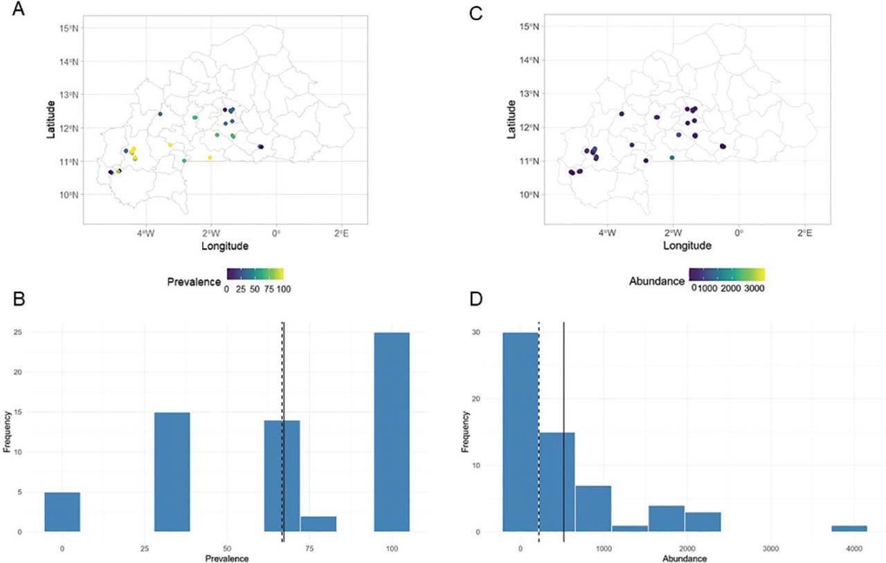 Distribution maps of the prevalence (A,B) and abundance (C,D) of Meloidogyne spp. root samples of 61 papaya orchards across Burkina Faso.