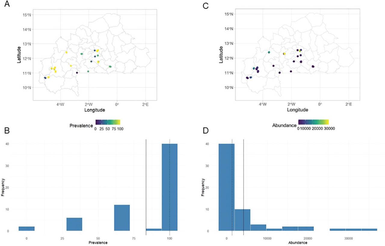 Distribution maps of the frequency (A,B) and abundance (C,D) of Rotylenchulus spp. in soil samples of 61 papaya orchards across Burkina Faso.