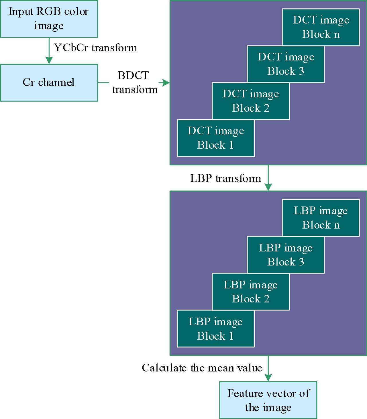 Faking image data processing flow chart