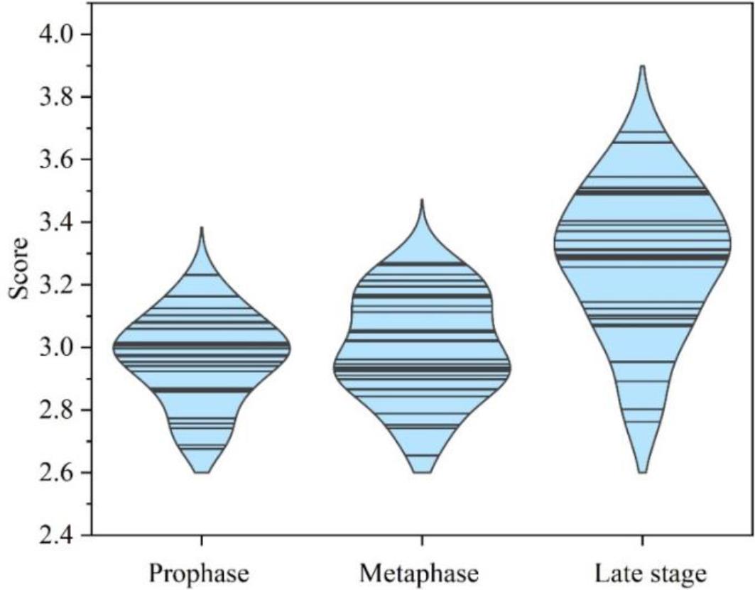Descriptive statistical analysis