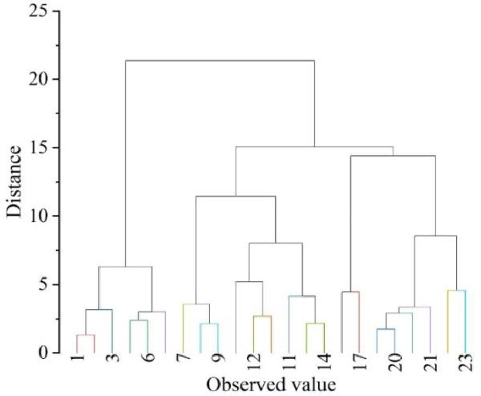 Group tree diagram of the community