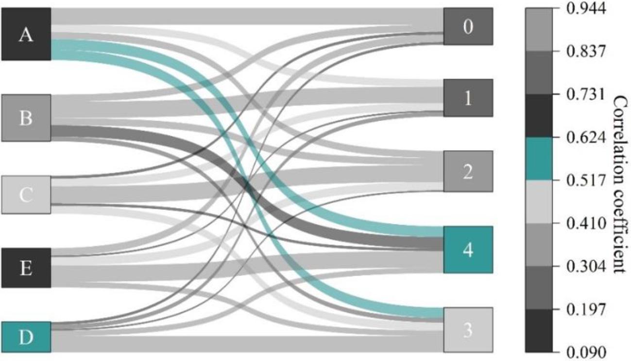 Correlation coefficient calculation results