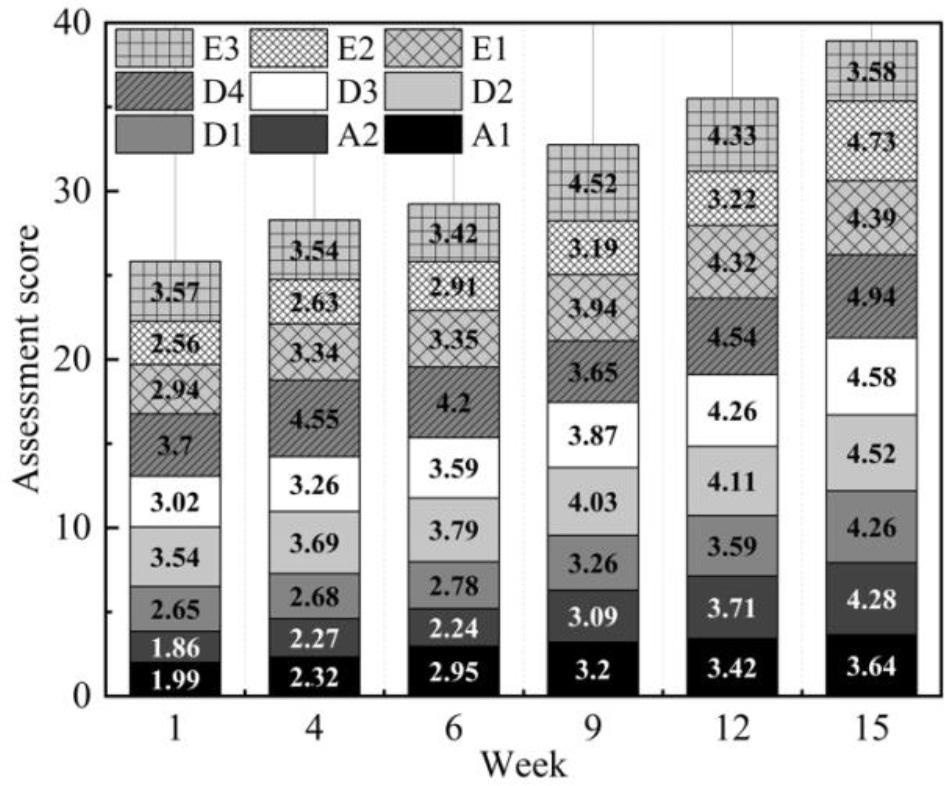 Second level indicator dynamic evaluation results