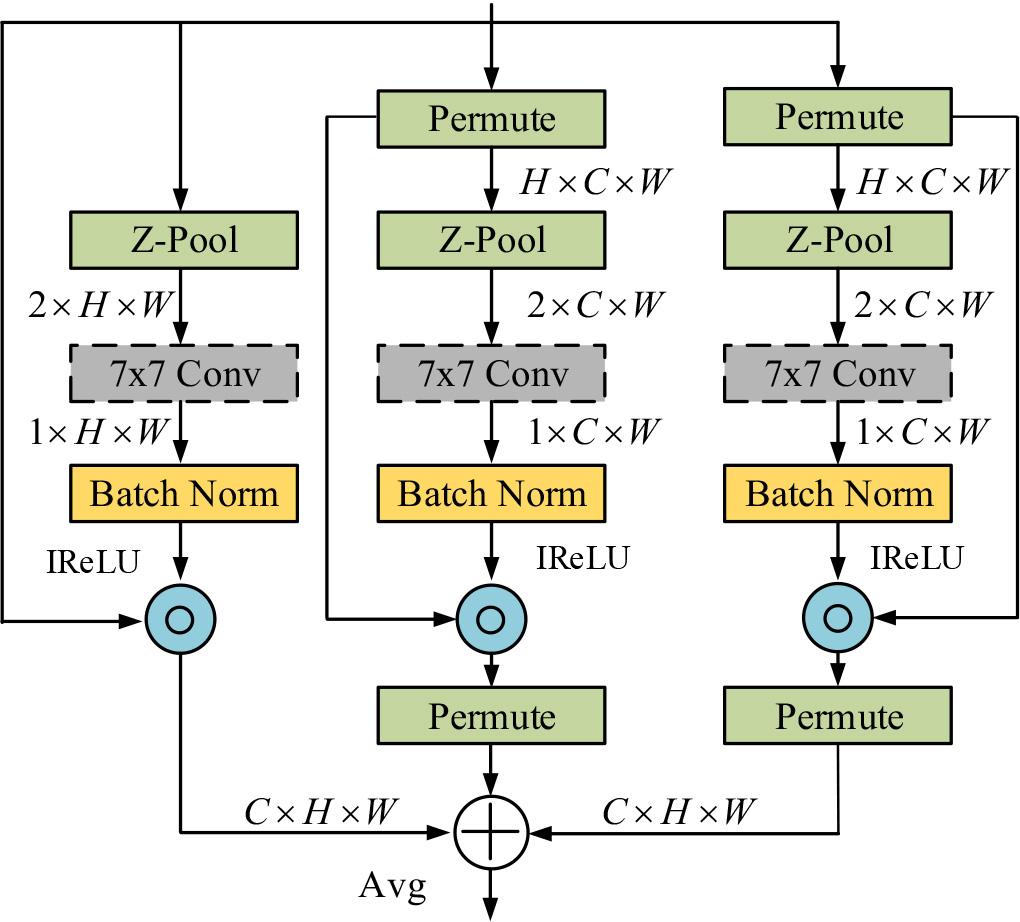 The structure of CAMTS