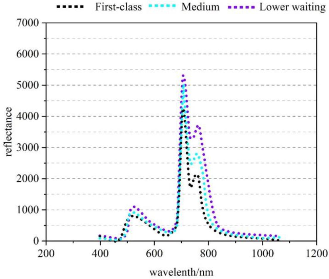 The average spectral curve of three kinds of tobacco