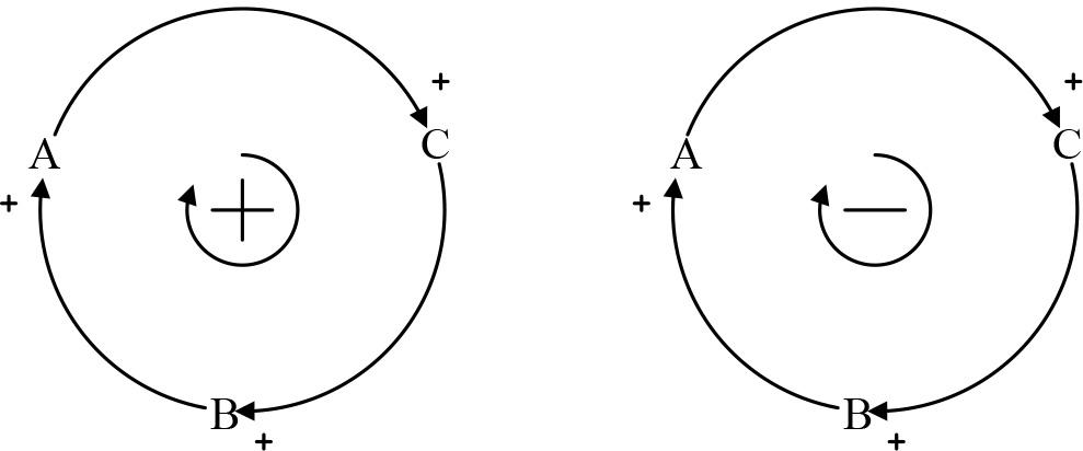 Positive and negative feedback loops